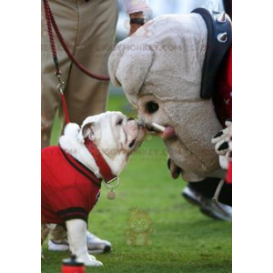 Gray Bulldog Dog BIGGYMONKEY™ Mascot Costume - Biggymonkey.com