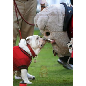 Grå Bulldog Dog BIGGYMONKEY™ maskot kostume - Biggymonkey.com