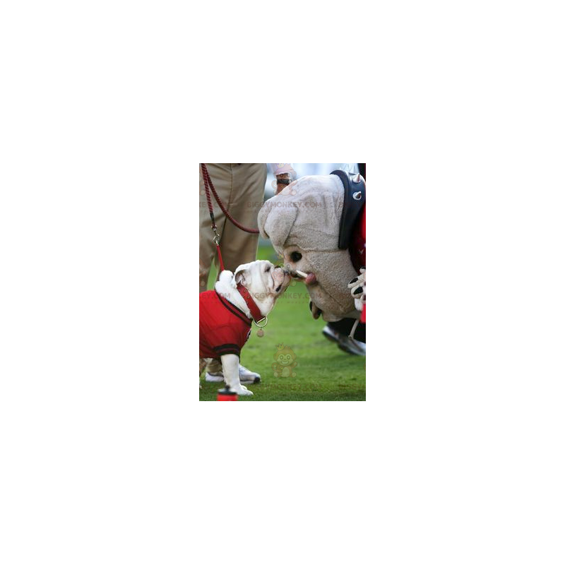 Disfraz de mascota BIGGYMONKEY™ para perro Bulldog gris - Disfraz de mascota BIGGYMONKEY™ para perro Bulldog gris -