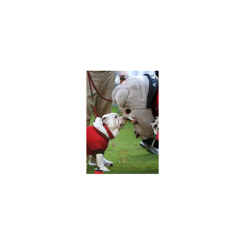 Traje de mascote de cachorro buldogue cinza BIGGYMONKEY™ –