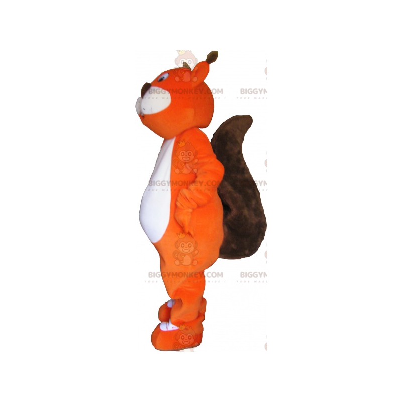 Gigantische oranje en bruine eekhoorn BIGGYMONKEY™ Gigantische oranje en bruine eekhoorn BIGGYMONKEY™