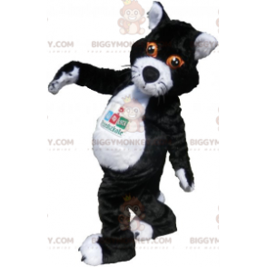 Stor svart och vit katt BIGGYMONKEY™ maskotdräkt. kattdräkt -