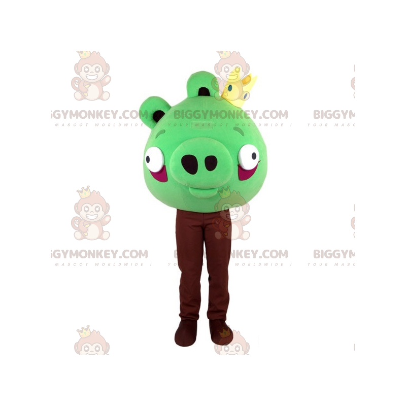 Costume de mascotte BIGGYMONKEY™ Angry Birds verte. Costume de