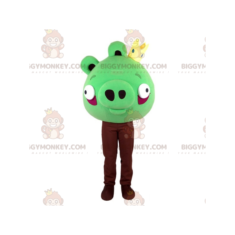 Zelený kostým maskota BIGGYMONKEY™ Angry Birds. Kostým maskota