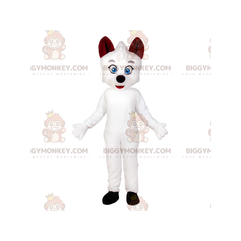 Blue Eyed White Cat BIGGYMONKEY™ maskottiasu. Valkoinen koiran Blue Eyed White Cat BIGGYMONKEY™ maskottiasu. Valkoinen koiran