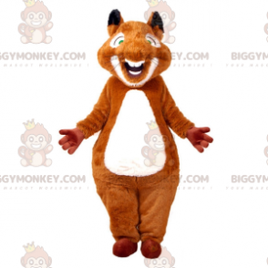 Meget sød og lodnet brunt og hvidt egern BIGGYMONKEY™