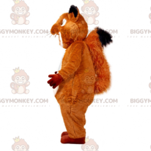 Mycket söt och lurvig brun och vit ekorre BIGGYMONKEY™