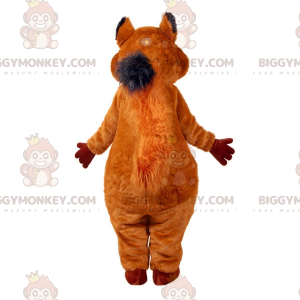 Meget sød og lodnet brunt og hvidt egern BIGGYMONKEY™