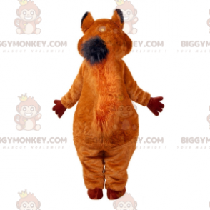 Meget sød og lodnet brunt og hvidt egern BIGGYMONKEY™