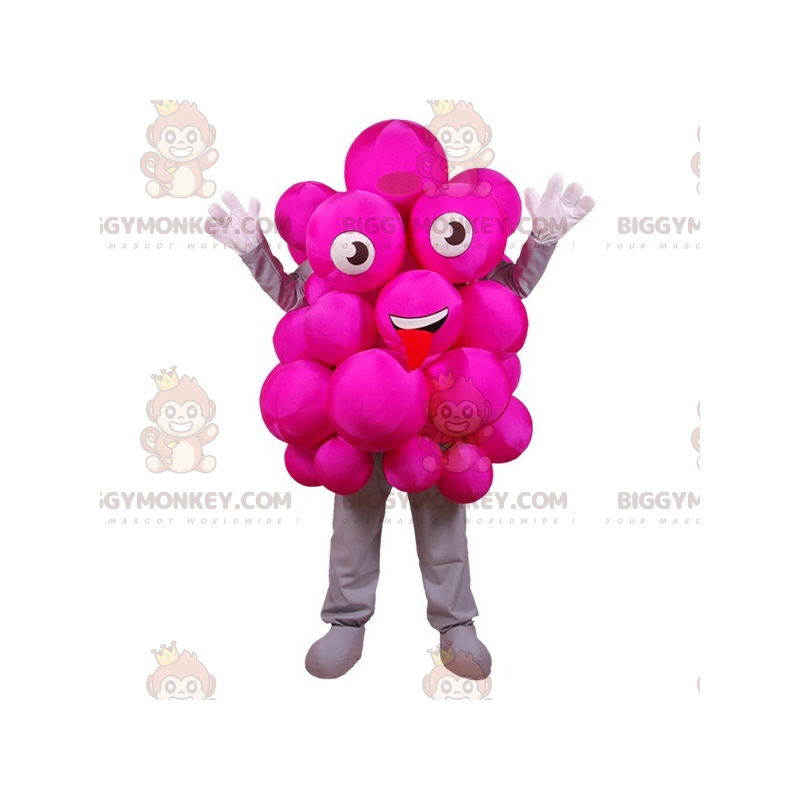 Roze druiven BIGGYMONKEY™ mascottekostuum. Feestelijk roze
