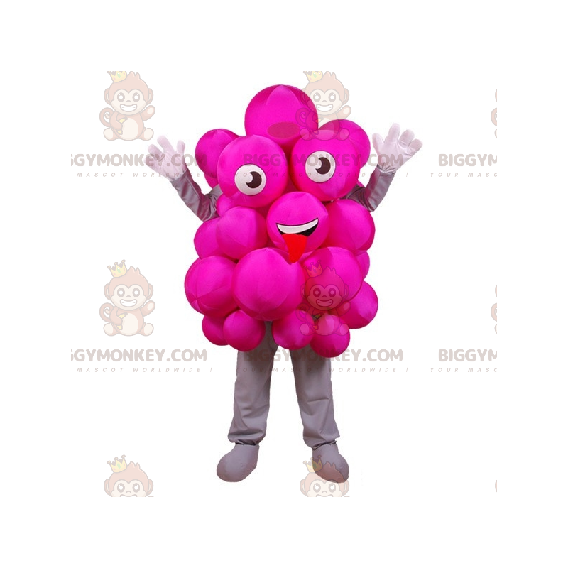 Στολή μασκότ BIGGYMONKEY™ Pink Grapes. Εορταστική ροζ στολή μασκότ BIGGYMONKEY™ - Μασκότ φρούτων - BiggyMonkey.com