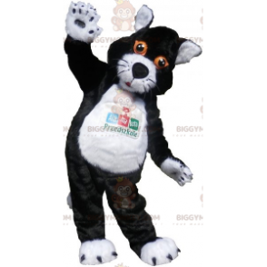 Costume de mascotte BIGGYMONKEY™ de chat noir et blanc avec les yeux orange - Mascottes de chat - BiggyMonkey.com