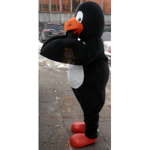 Zwart wit oranje pinguïn BIGGYMONKEY™ mascottekostuum. pinguïn