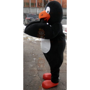 Costume de mascotte BIGGYMONKEY™ de pingouin noir blanc et orange. Costume de pingouin - Mascottes Poisson - BiggyMonkey.com