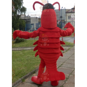 Kostium maskotki Lobster BIGGYMONKEY™. Kostium maskotka raki olbrzymie BIGGYMONKEY™ - Rybie Maskotki - BiggyMonkey.com