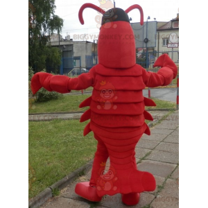 Lobster BIGGYMONKEY™ mascot costume. Giant Crawfish