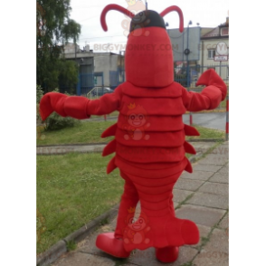 Kostium maskotki Lobster BIGGYMONKEY™. Kostium maskotka raki olbrzymie BIGGYMONKEY™ - Rybie Maskotki - BiggyMonkey.com