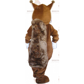 Sehr süßes und rundliches braunes und weißes Eichhörnchen