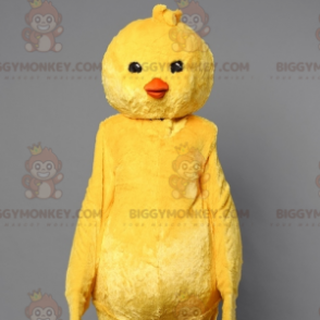Keltainen Chick BIGGYMONKEY™ maskottiasu. Canary Bird
