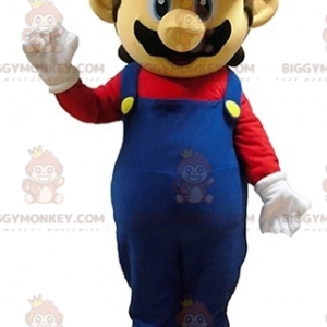 Costume della mascotte di Mario famoso personaggio dei