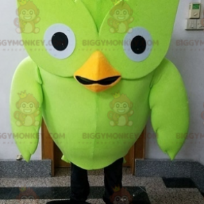 Fantasia de mascote de pássaro verde coruja gigante BIGGYMONKEY™ - Mascote pássaro - BIGGYMONKEY_07287 - BiggyMonkey.com