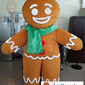 Ti Biscuit Shrek Character Kostium maskotki BIGGYMONKEY™ z