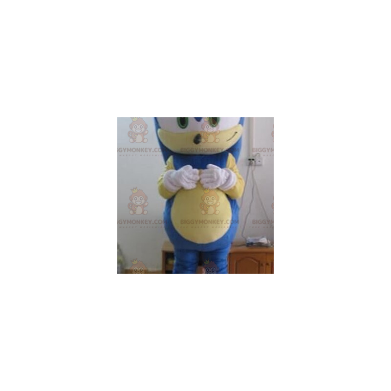 Videospel Sonic Blue Hedgehog BIGGYMONKEY™ maskotdräkt - Maskoter kända människor - BIGGYMONKEY_07345 - BiggyMonkey.com