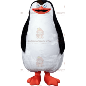 Mollig en schattig wit zwart-oranje pinguïn BIGGYMONKEY™ mascottekostuum - Vis mascottes - BIGGYMONKEY_07400 - BiggyMonkey.com