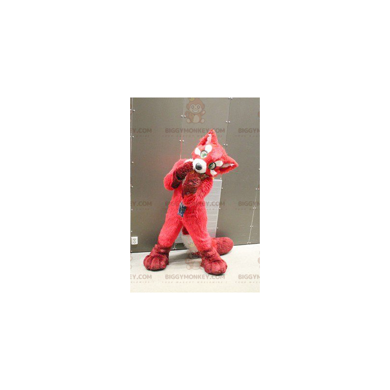 Red Fox Dog BIGGYMONKEY™ Mascottekostuum - Biggymonkey.com Red Fox Dog BIGGYMONKEY™ Mascottekostuum - Biggymonkey.com