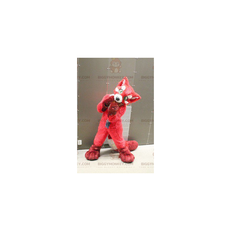 Red Fox Dog BIGGYMONKEY™ maskottiasu - Biggymonkey.com