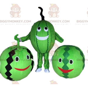 BIGGYMONKEY™ maskot kostume vandmelon kostume. Vandmelon fancy