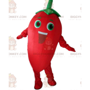 Στολή μασκότ με Giant Chili Pepper BIGGYMONKEY™. Γιγαντιαία