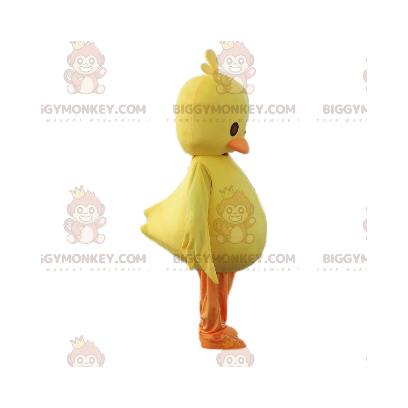 Kostium maskotki żółtej laski BIGGYMONKEY™. Kostium pisklęcia Kostium maskotki żółtej laski BIGGYMONKEY™. Kostium pisklęcia