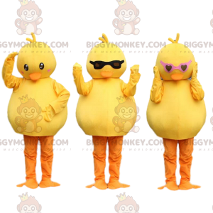 3 kuřátka maskota BIGGYMONKEY™, žlutí kanárci. kostým ptáka –