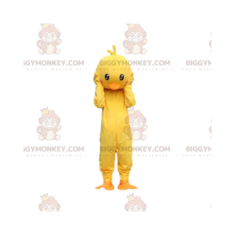 Fato de pintainho amarelo e laranja. Traje de mascote Canário