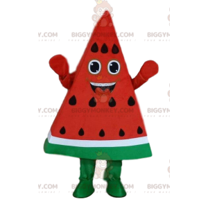 Kostým maskota vodního melounu BIGGYMONKEY™, kousek vodního