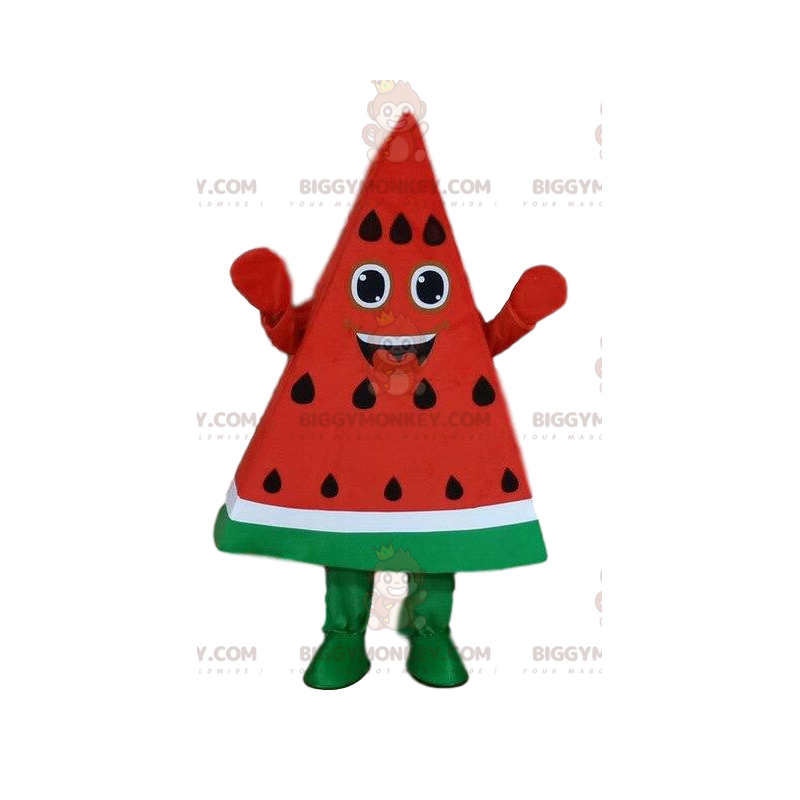 Watermelon BIGGYMONKEY™ Mascot Costume, Piece of Watermelon