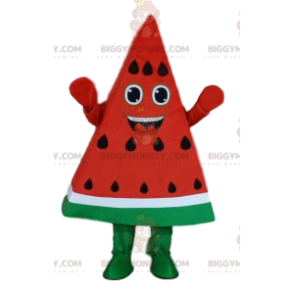 Costume de mascotte BIGGYMONKEY™ de pastèque, morceau de