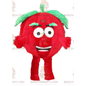 Tomato BIGGYMONKEY™ mascot costume, vegetable costume, red