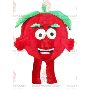 Tomato BIGGYMONKEY™ maskotdräkt, grönsaksdräkt, röd frukt-dräkt
