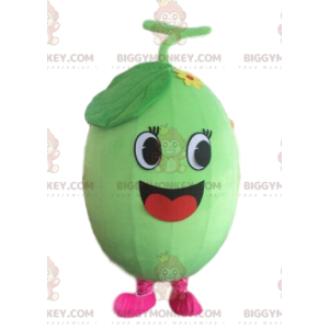 Melon BIGGYMONKEY™ mascot costume, watermelon costume, fruit