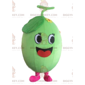 Melon BIGGYMONKEY™ maskotdräkt, vattenmelonkostym, fruktdräkt -