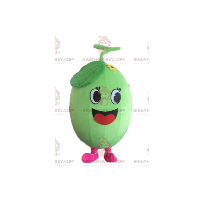 Costume de mascotte BIGGYMONKEY™ de melon, costume de pastèque Costume de mascotte BIGGYMONKEY™ de melon, costume de pastèque