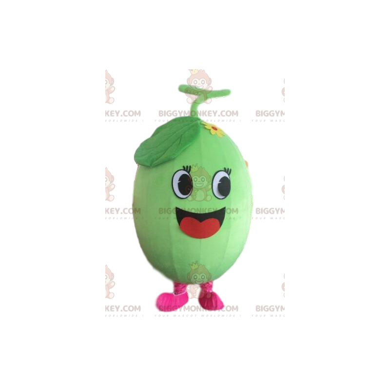 Melon BIGGYMONKEY™ maskotkostume, vandmelonkostume