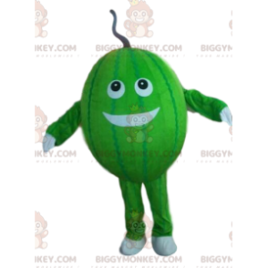 Melon Costume, Melon BIGGYMONKEY™ Mascot Costume, Fruit Costume