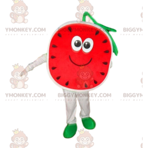 Costume de mascotte BIGGYMONKEY™ de pastèque, costume de melon