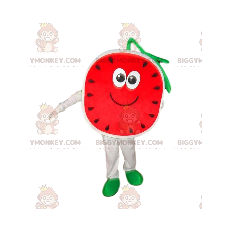 Disfraz de mascota de sandía BIGGYMONKEY™, disfraz de melón Disfraz de mascota de sandía BIGGYMONKEY™, disfraz de melón
