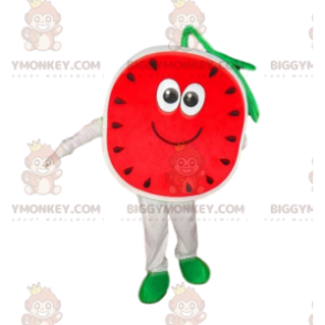Costume de mascotte BIGGYMONKEY™ de pastèque, costume de melon