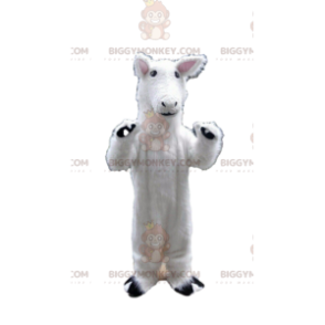 Traje de mascota de caballo blanco BIGGYMONKEY™, traje de