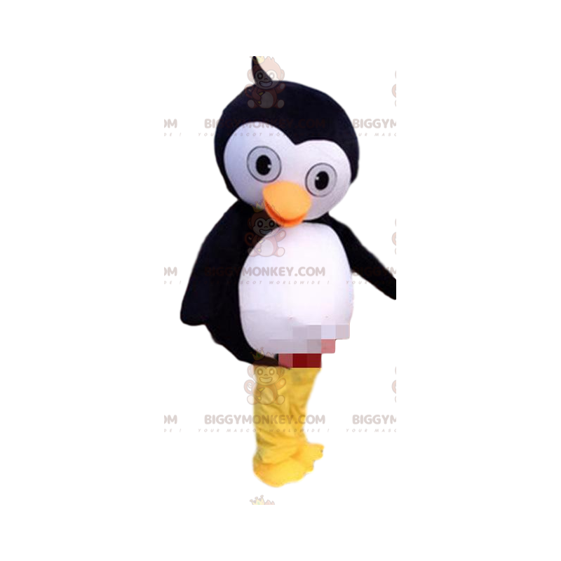 Pingviini BIGGYMONKEY™ maskottiasu, pingviiniasu, jäälautan Pingviini BIGGYMONKEY™ maskottiasu, pingviiniasu, jäälautan